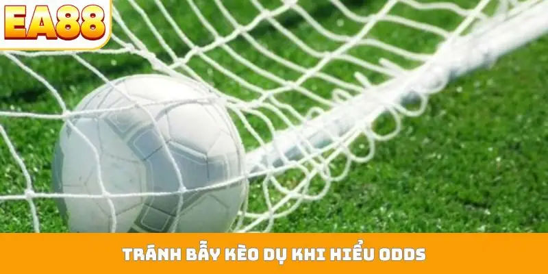 Tránh bẫy kèo dụ khi hiểu odds